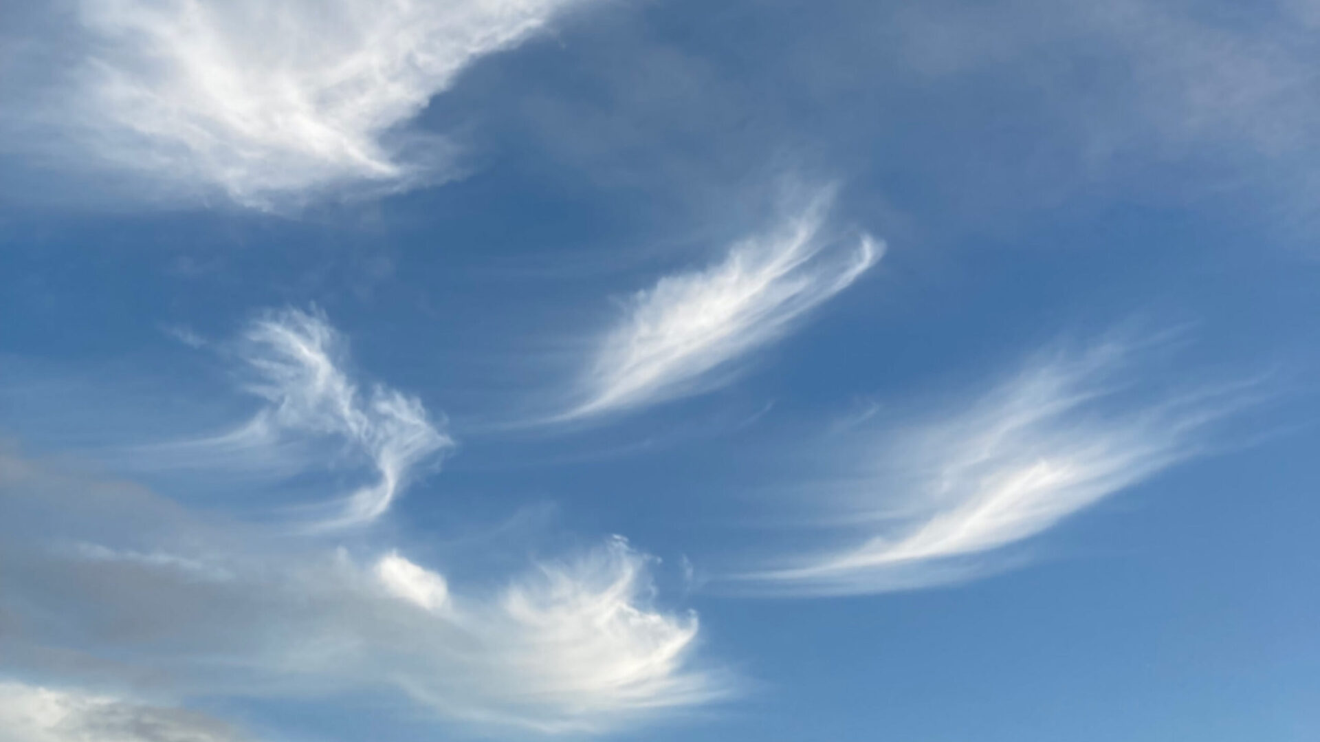 Cirrus Psychology